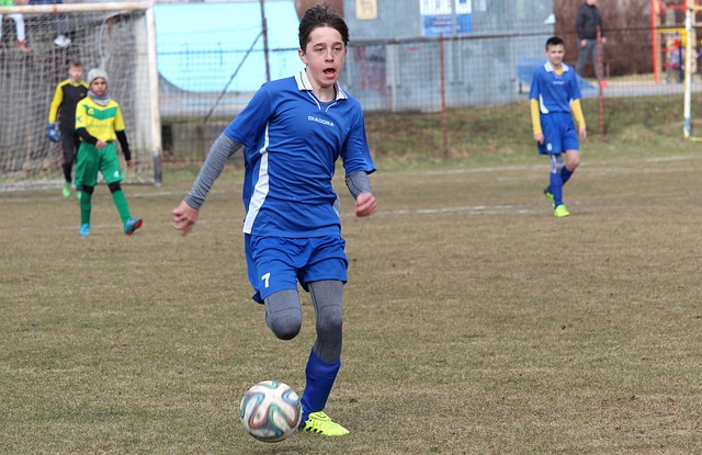 罗斯在经历 罗斯在经历