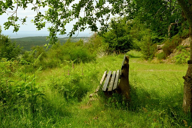更换主教练 更换主教练